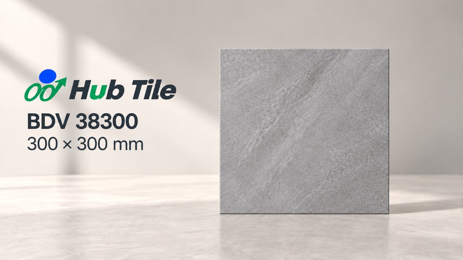 BDV 38300 원본 타일 사진